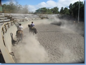 2 reieter in der Media Luna beim Rodeo Kurs in Chile.